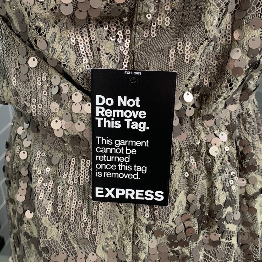 Express Large Pewter Dress - Picture 4 of 6